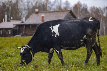 Similar image 22349567