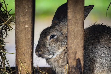 Similar image 22349568