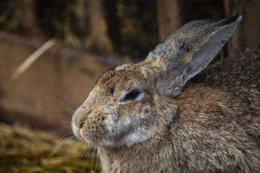 Similar image 22349569