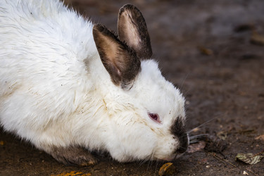 Similar image 22349570