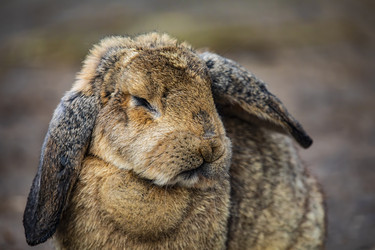 Similar image 22349571