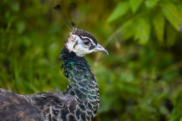 Similar image 22349572