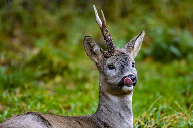 Similar image 22349573