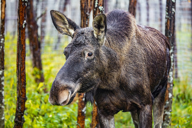 Similar image 22349574