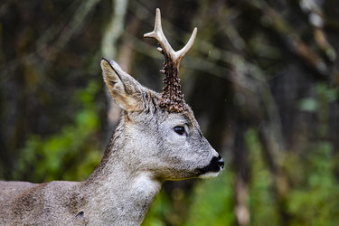 Similar image 22349575