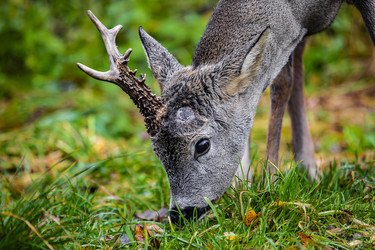 Similar image 22349576