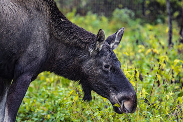 Similar image 22349577