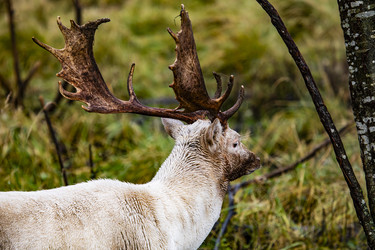 Similar image 22349578