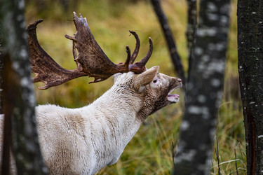 Similar image 22349579