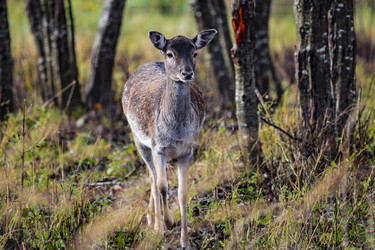 Similar image 22349580