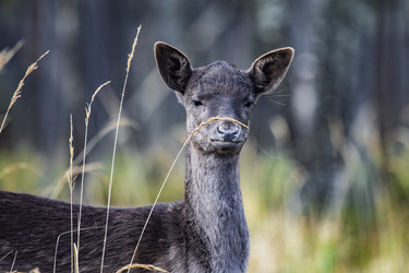 Similar image 22349476