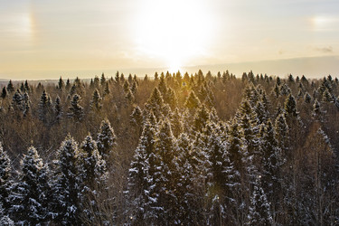 Similar image 22349477