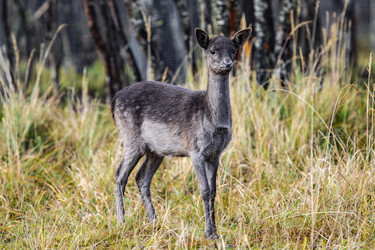 Similar image 22349478