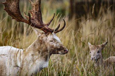 Similar image 22349480