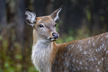 Similar image 22349483