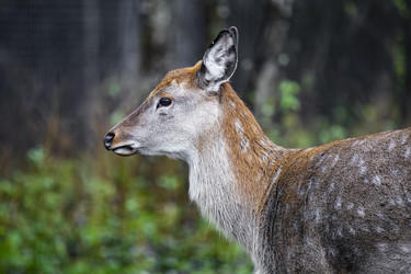 Similar image 22349484