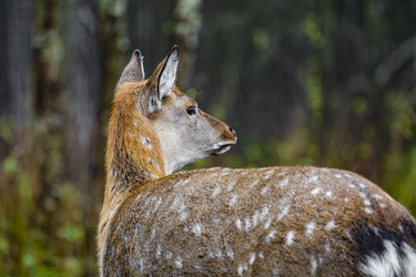 Similar image 22349485