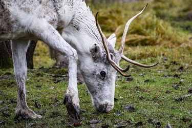 Similar image 22349486