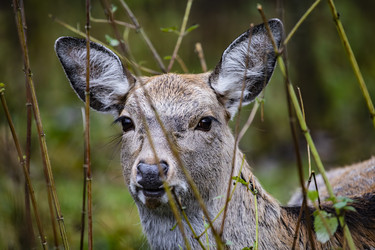 Similar image 22349487