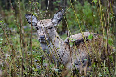 Similar image 22349488