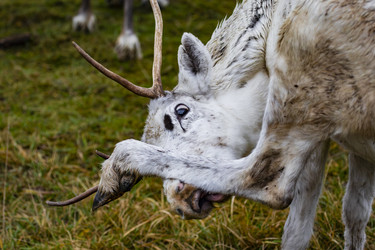 Similar image 22349489