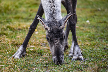 Similar image 22349490