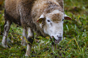 Similar image 22349496