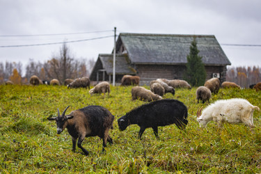 Similar image 22349497