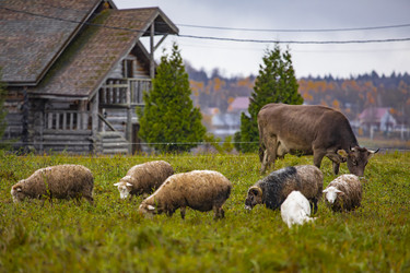 Similar image 22349498