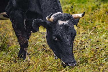 Similar image 22349499