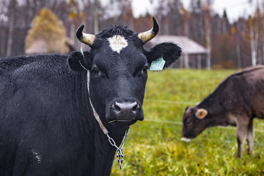 Similar image 22349500