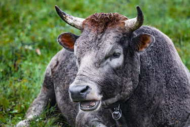 Similar image 22349504