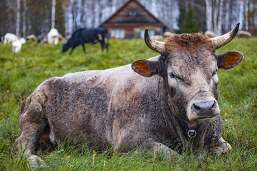 Similar image 22349505