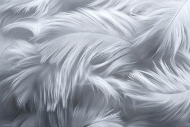 Similar image 22354351