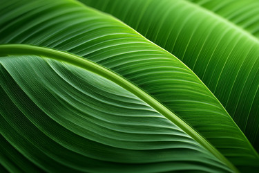 Similar image 22354372