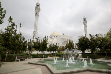 Similar image 22372494