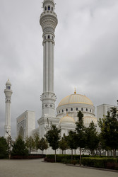 Similar image 22372509