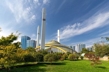 Similar image 22372540