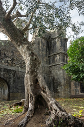 Similar image 22372683