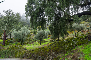 Similar image 22372730