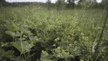 Similar image 22367944