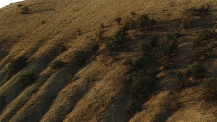 Similar image 22367985