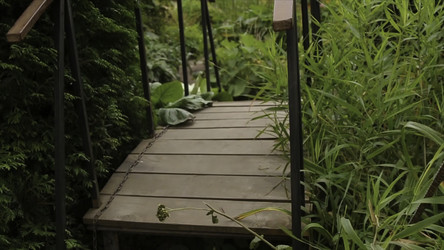 Similar image 22368311