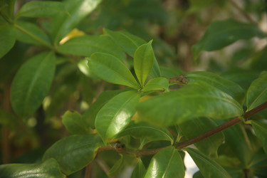 Similar image 22349719