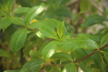 Similar image 22349720