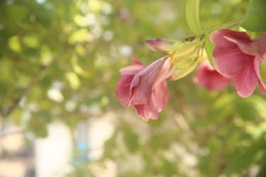 Similar image 22349722