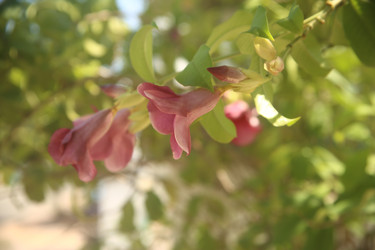 Similar image 22349723