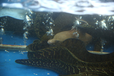 Similar image 22349599