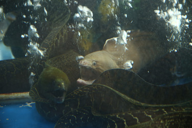 Similar image 22349601