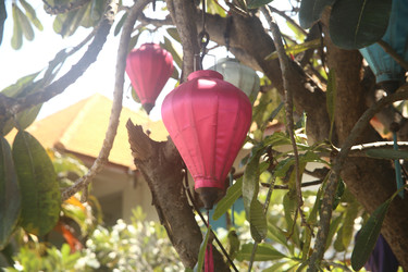 Similar image 22349602